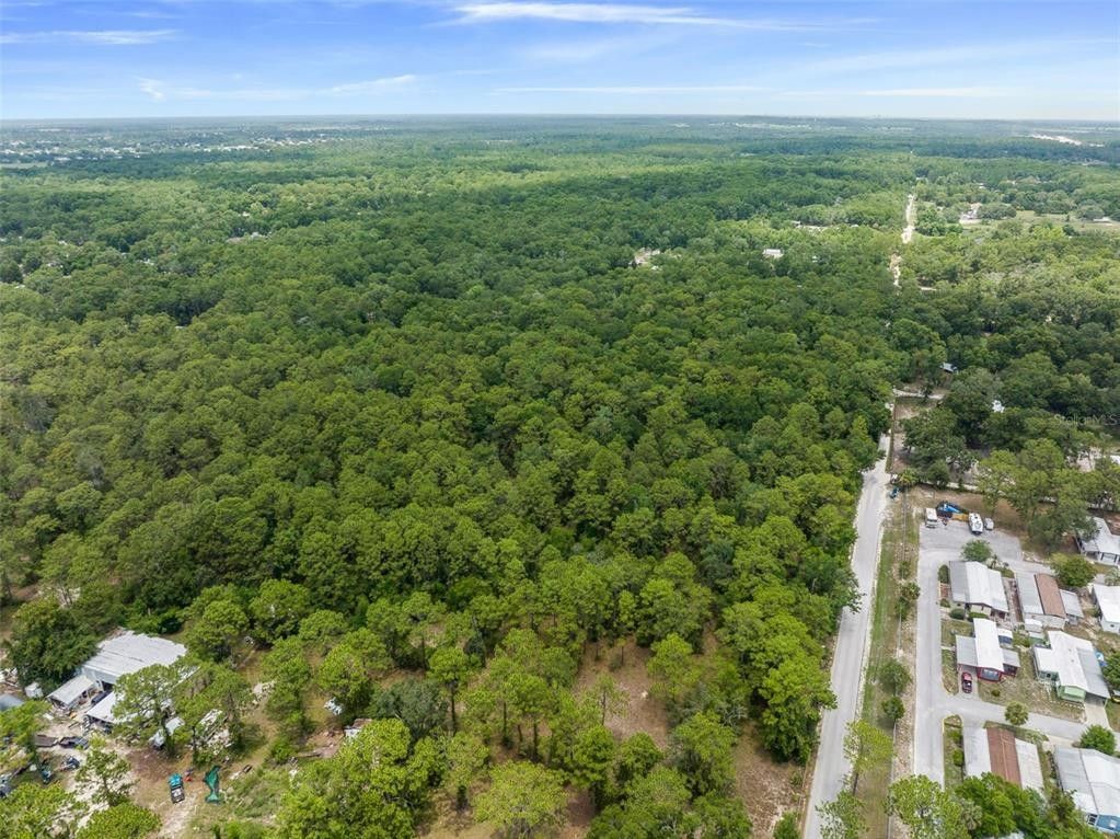 5 acres in Hernando County, Florida