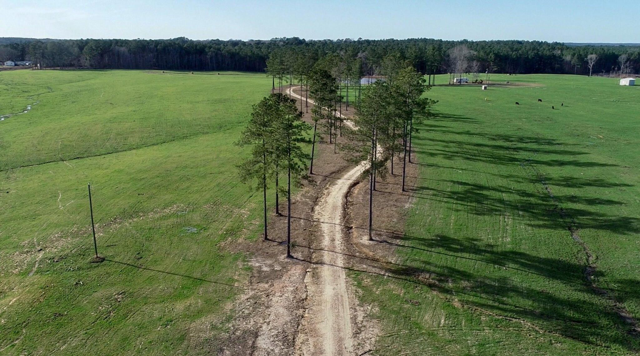 489 acres in Jefferson Davis County, Mississippi