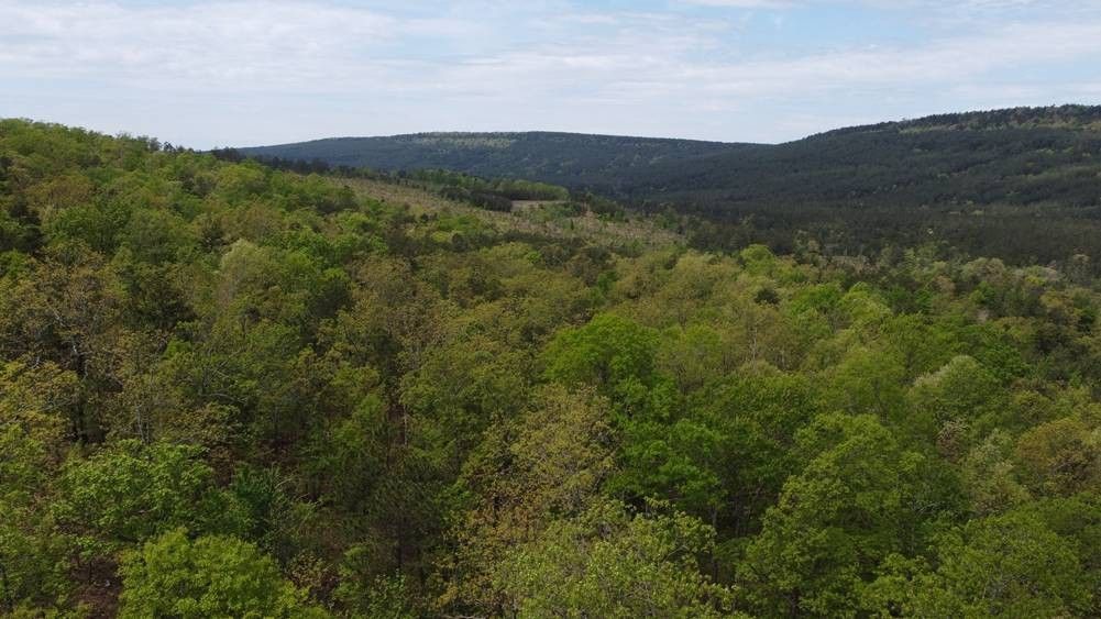 23 acres in Pushmataha County, Oklahoma