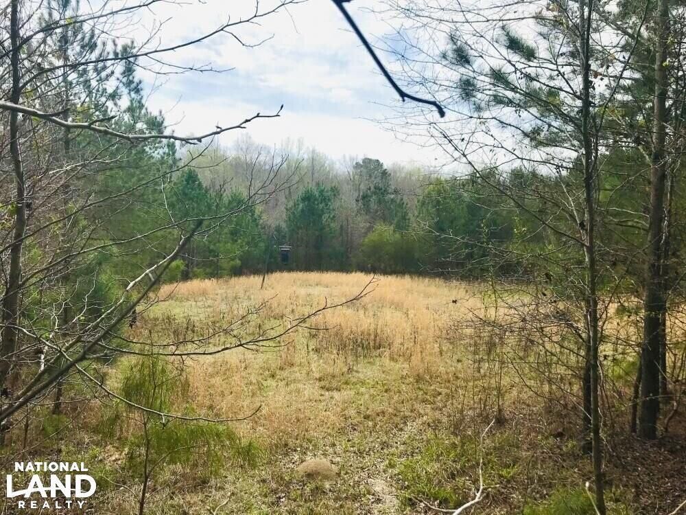 70 acres in Marion County,
