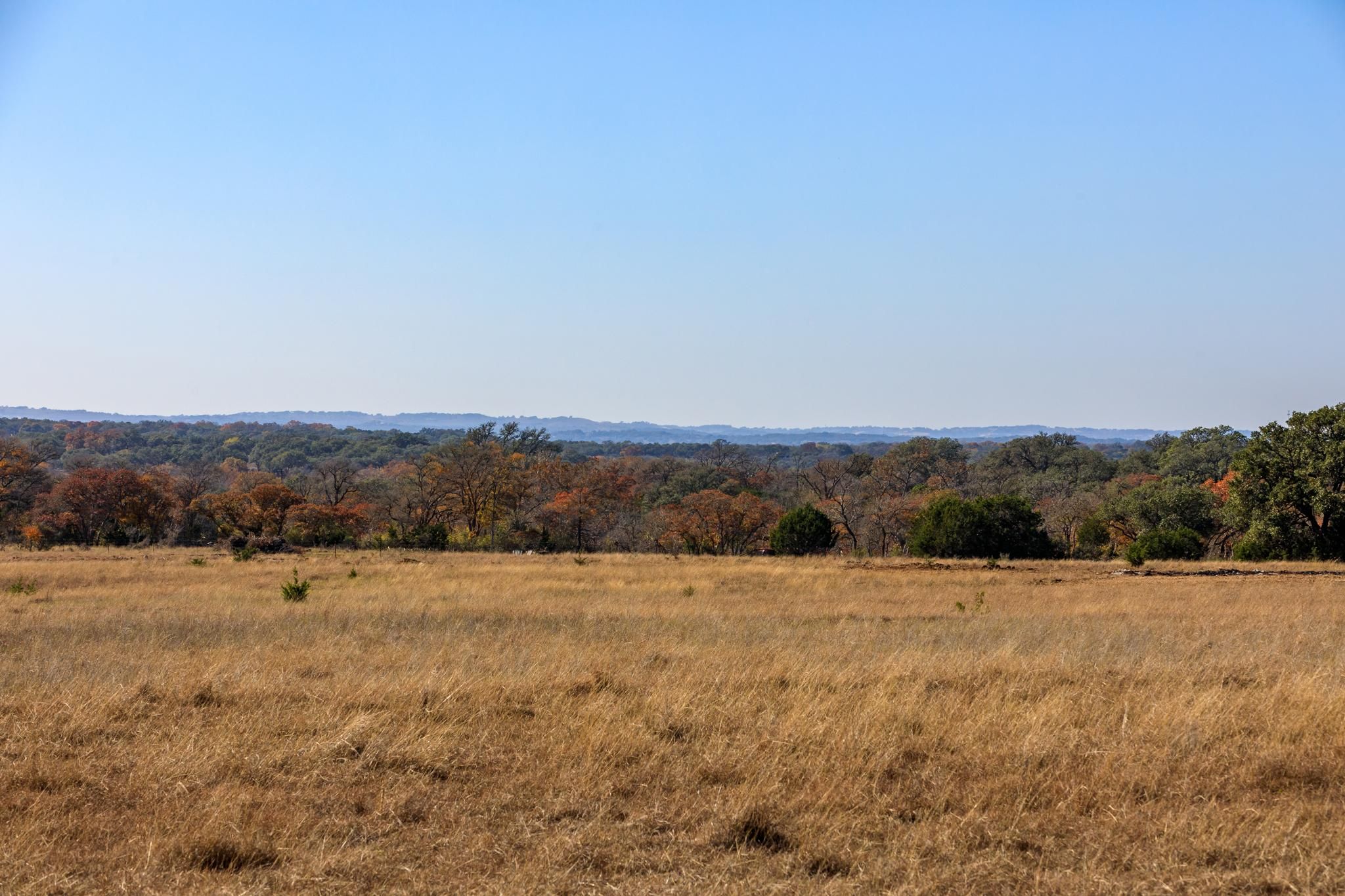 60 acres in Blanco County, Texas