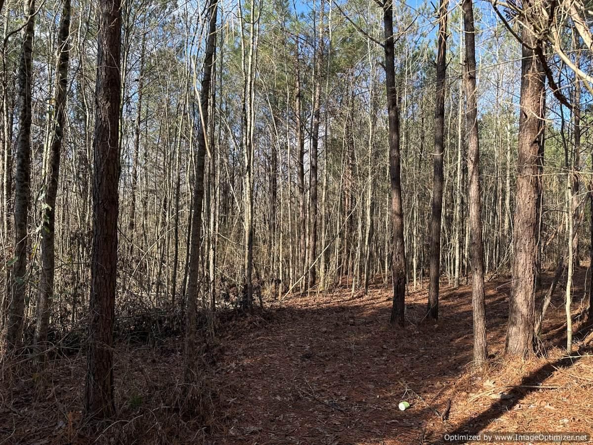 18.7 acres in Newton County, Mississippi