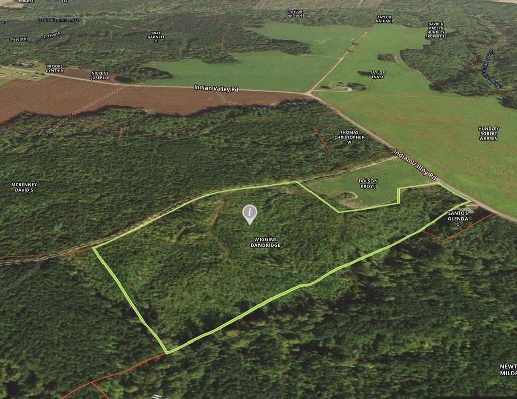 20 acres in Northumberland County, Virginia