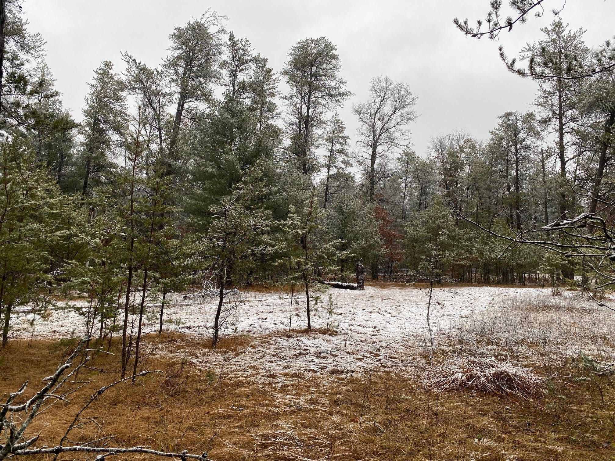 29 acres in Clare County, Michigan