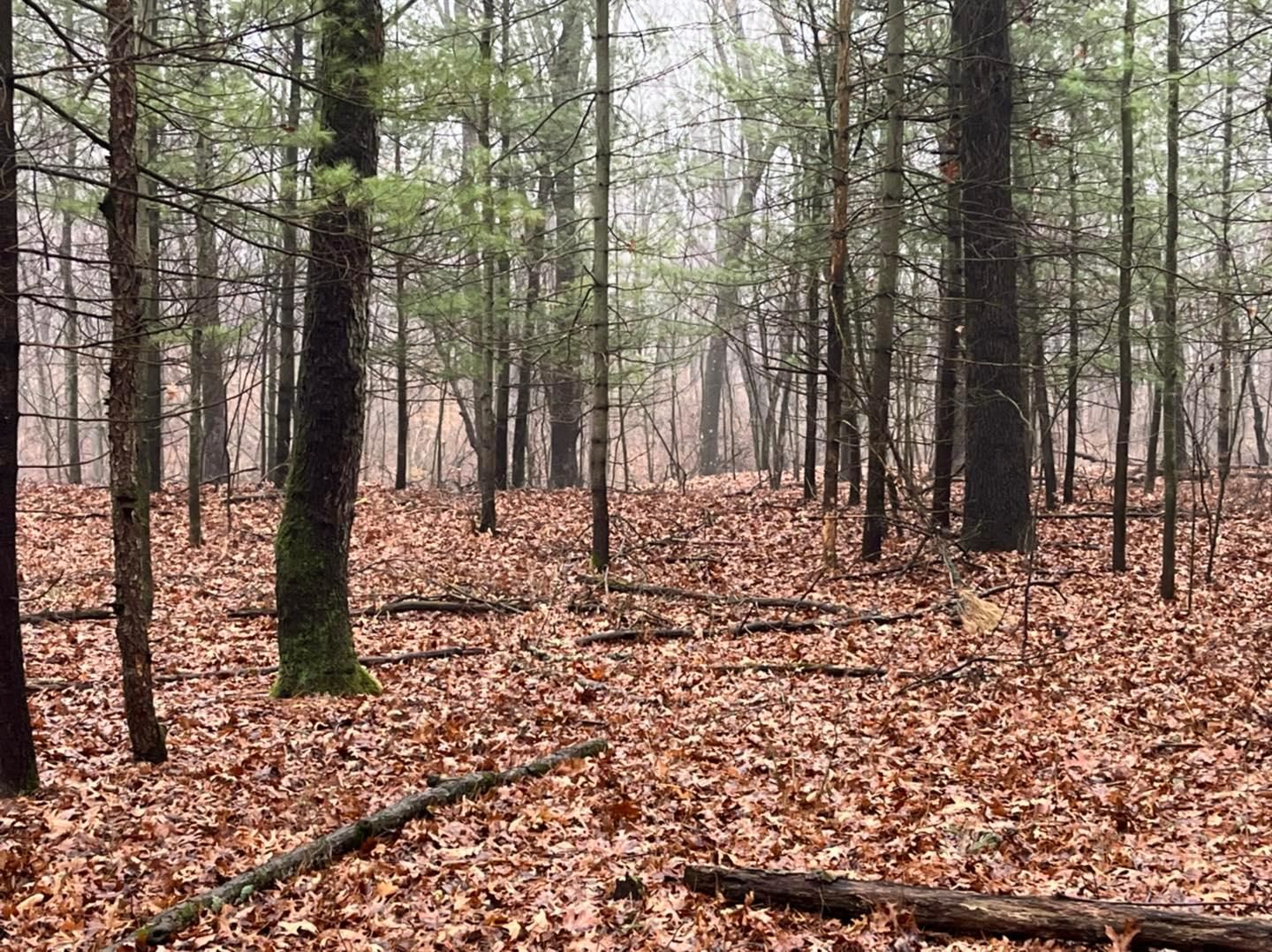 51 acres in Lenawee County, Michigan