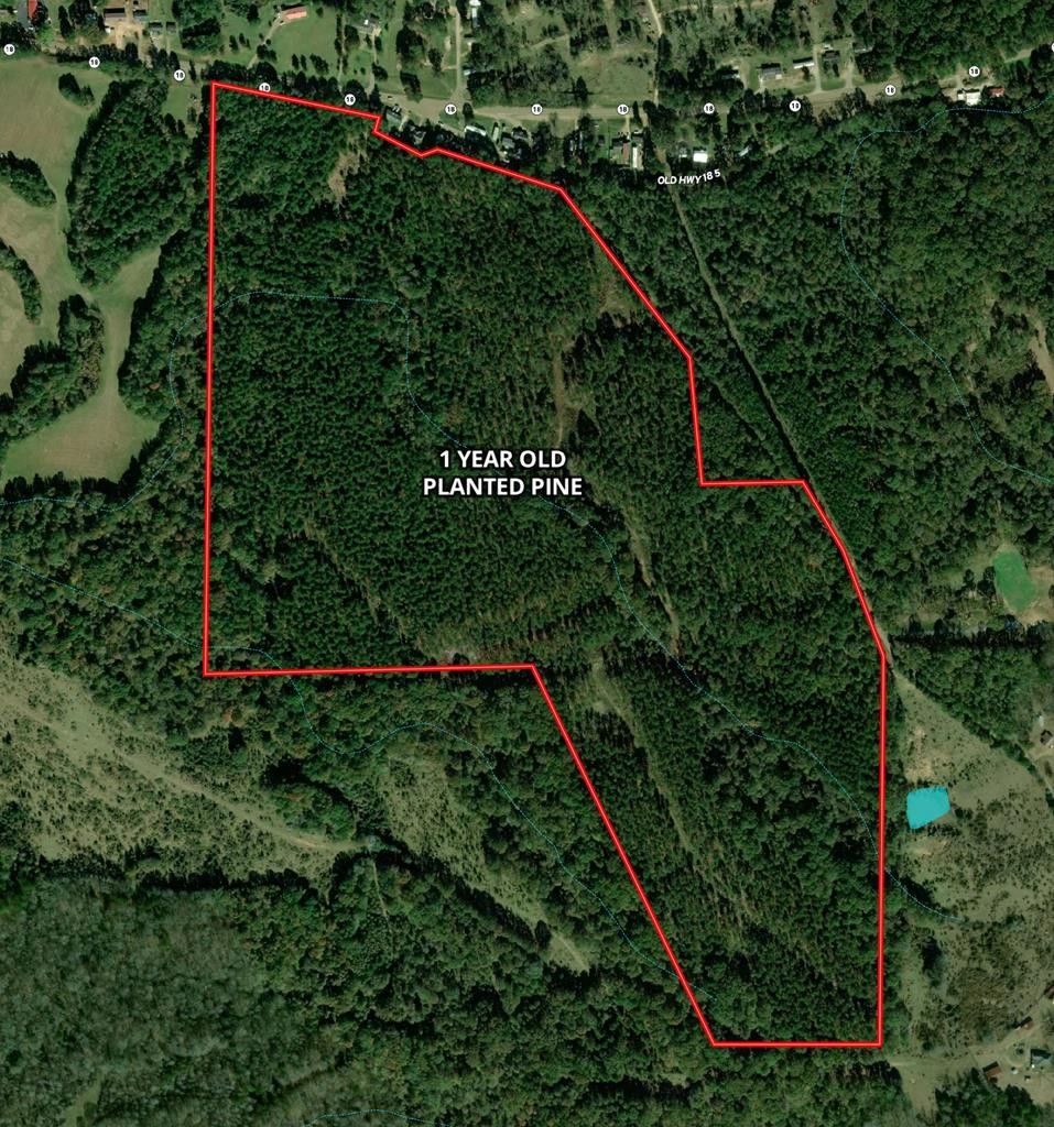 130 acres in Claiborne County, Mississippi