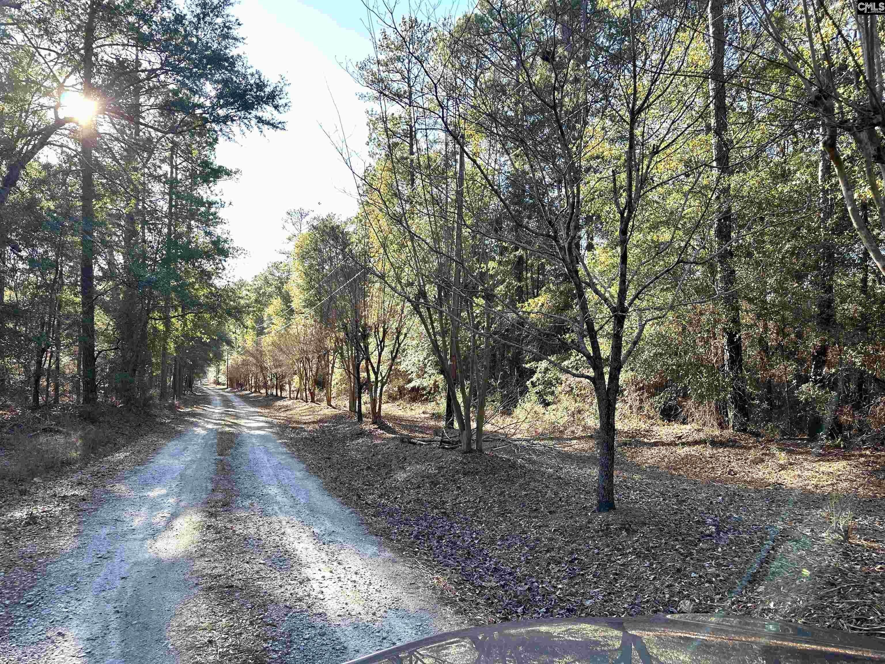 11.5 acres in Kershaw County, South Carolina