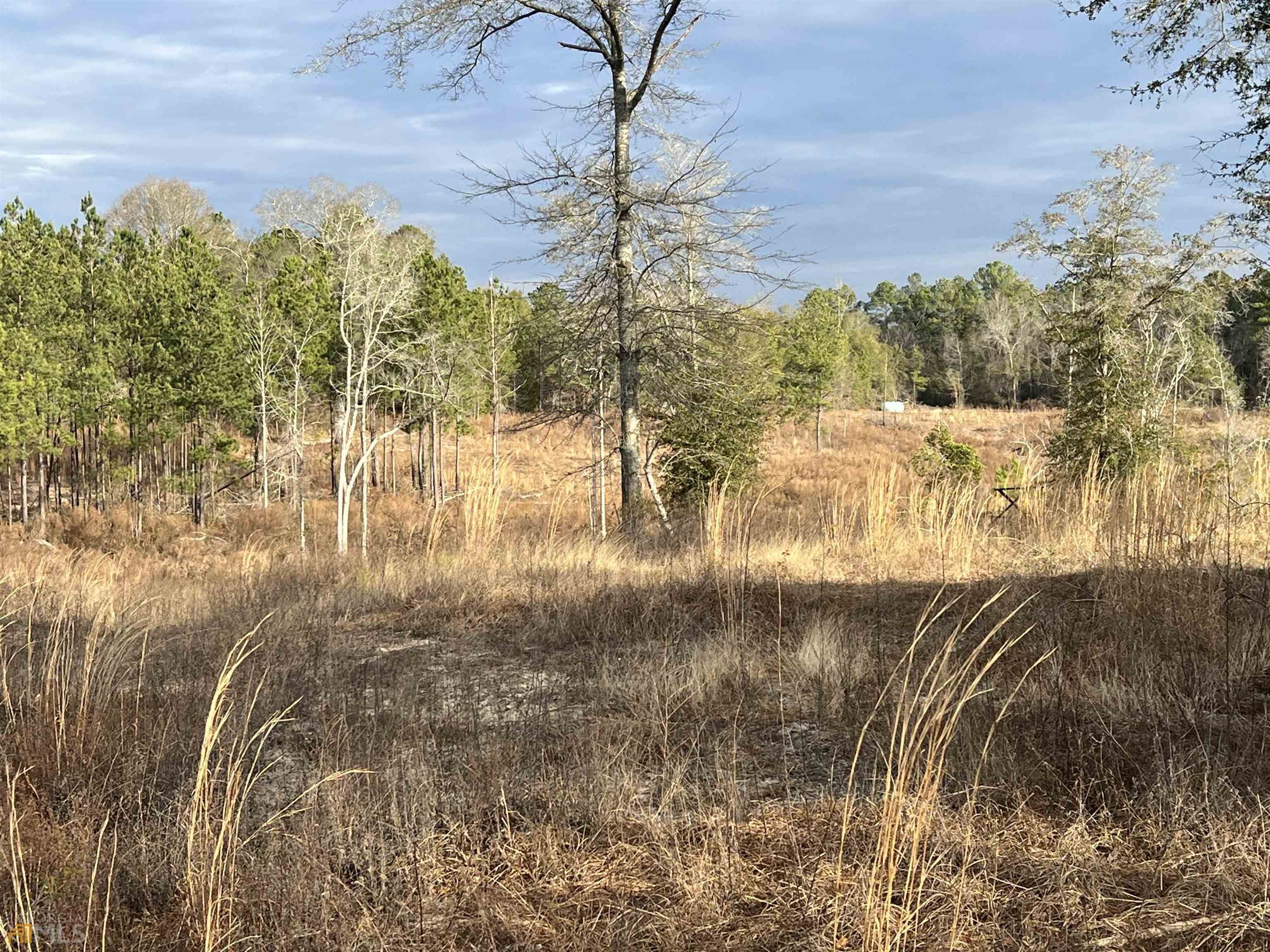 16.15 acres in Treutlen County,
