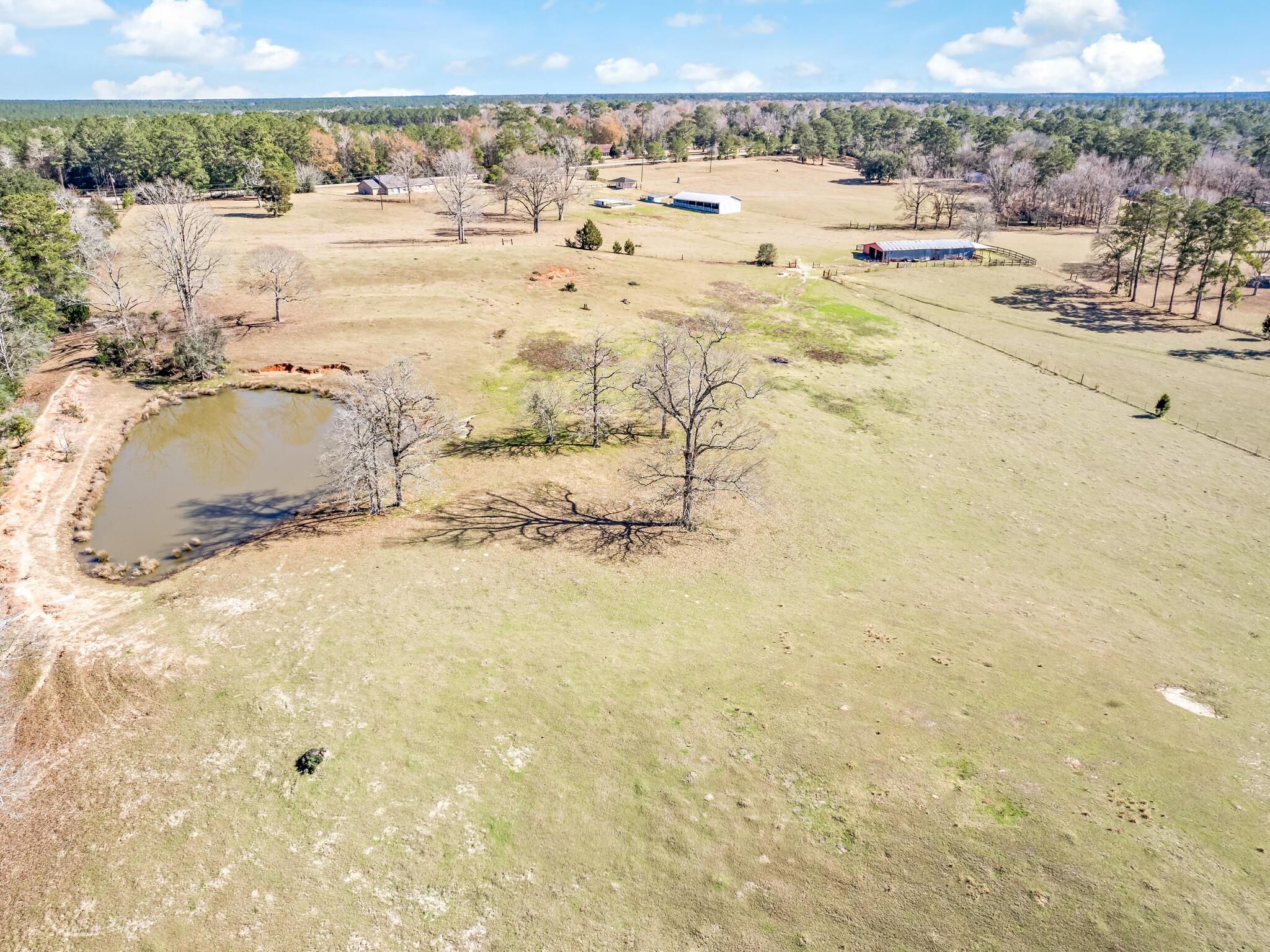 42 acres in Tyler County, Texas