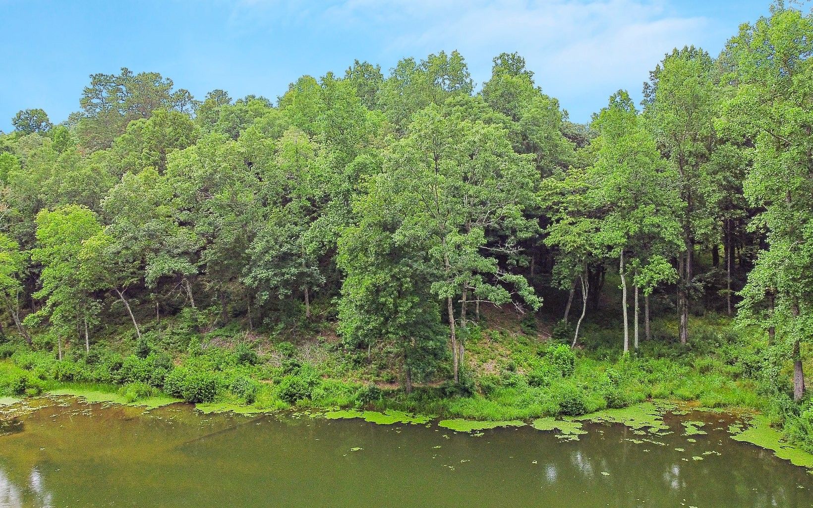 1 acres in Gilmer County,