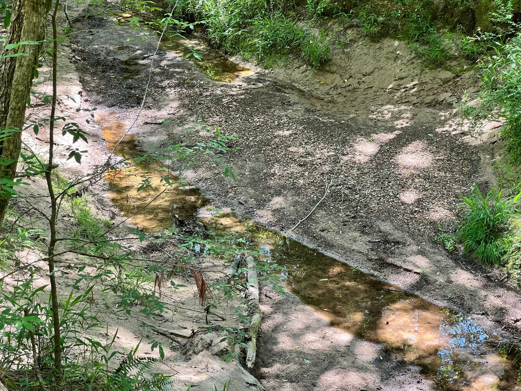 54 acres in Hinds County, Mississippi