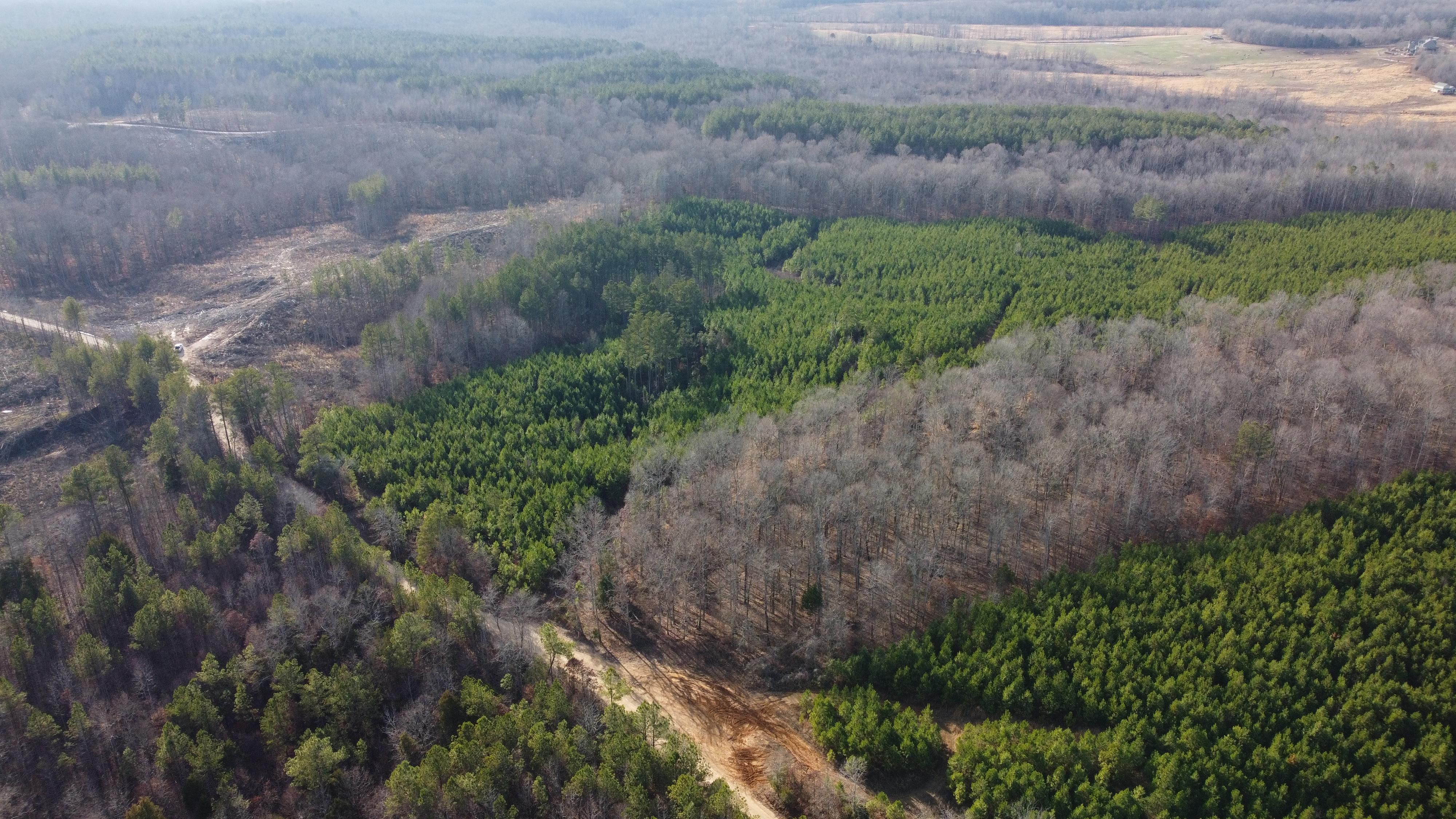 132 acres in Henry County, Tennessee