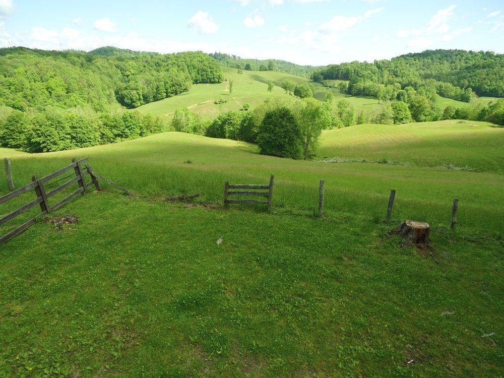 Laurel Run Rd, Crawford, WV 26343 MLS CRAWFORD FARM AND FOREST