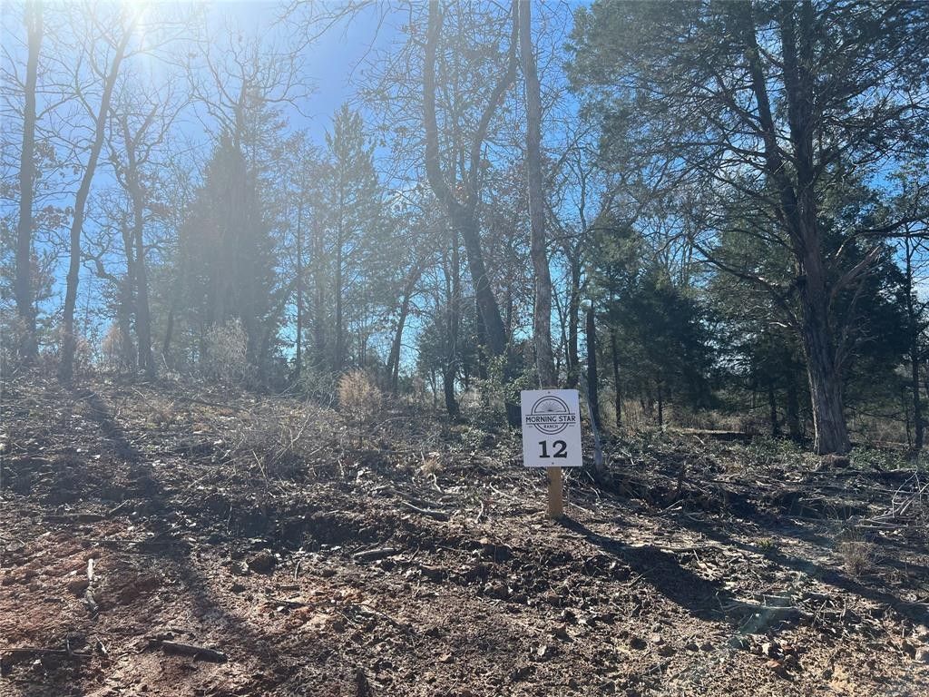 7.1 acres in Freestone County, Texas