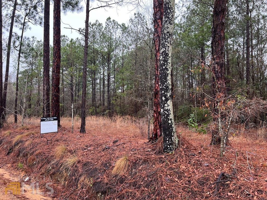 3 acres in Treutlen County,