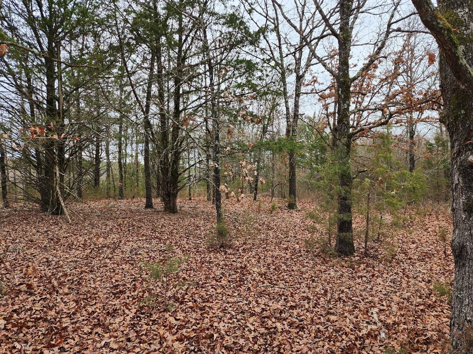 5 acres in Latimer County, Oklahoma