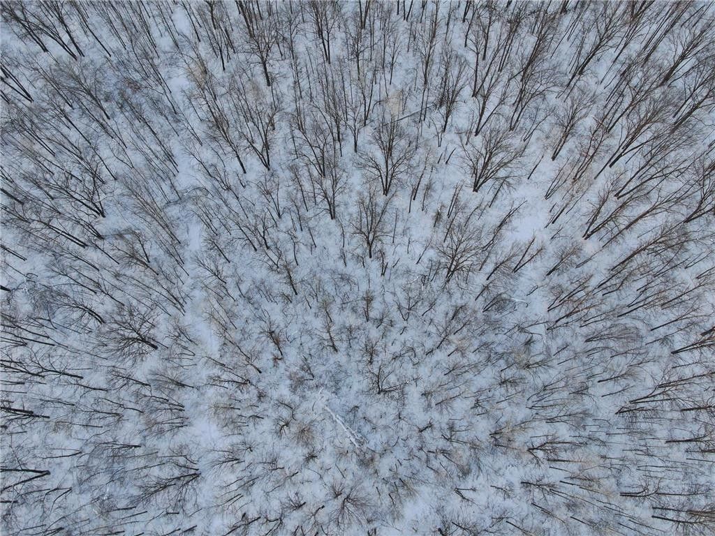 40 acres in Mille Lacs County, Minnesota