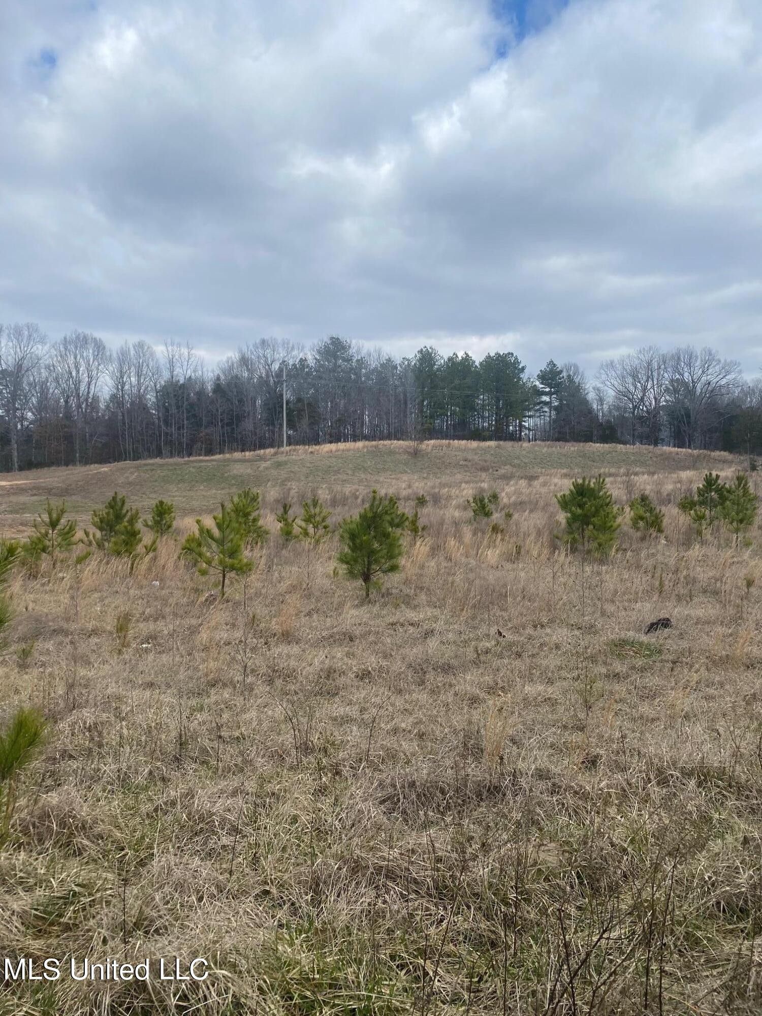 2 acres in Marshall County, Mississippi