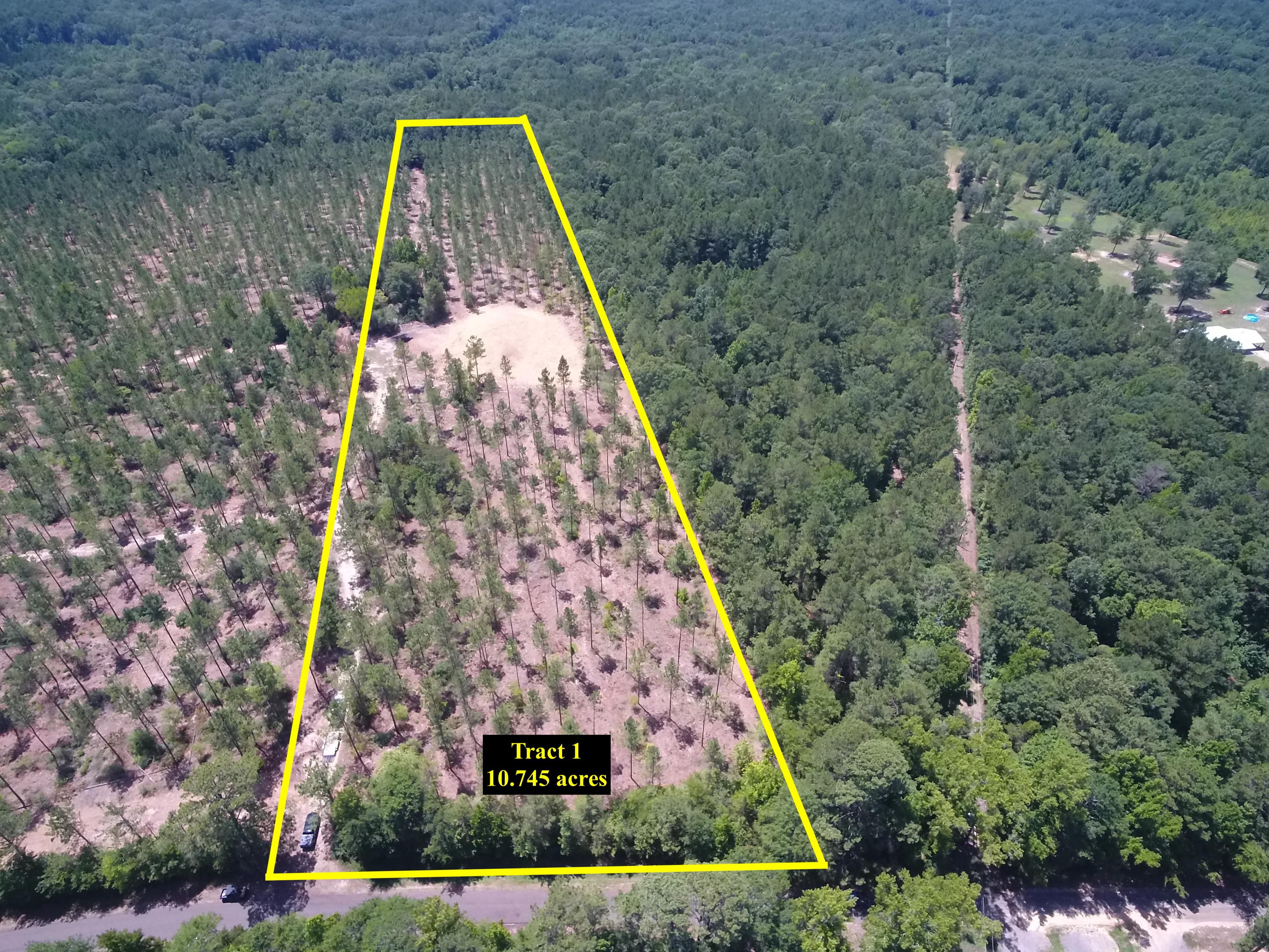 10.74 acres in Panola County, Texas