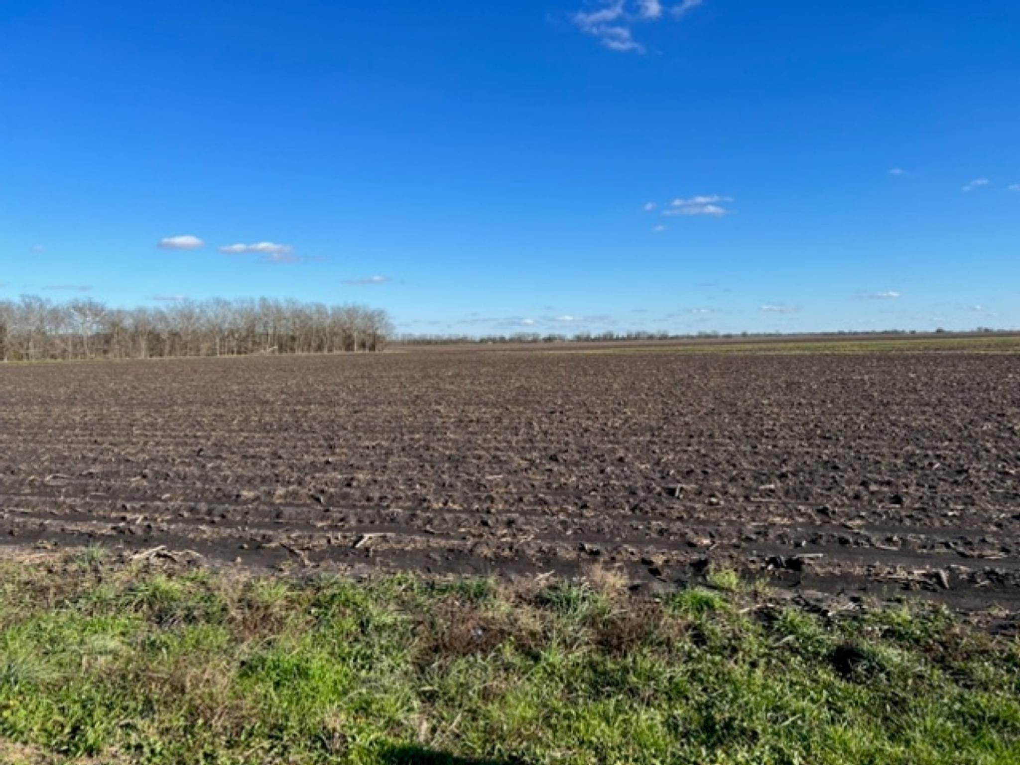 000 Scroggins Road, Wallis, TX 77485 MLS 93019103