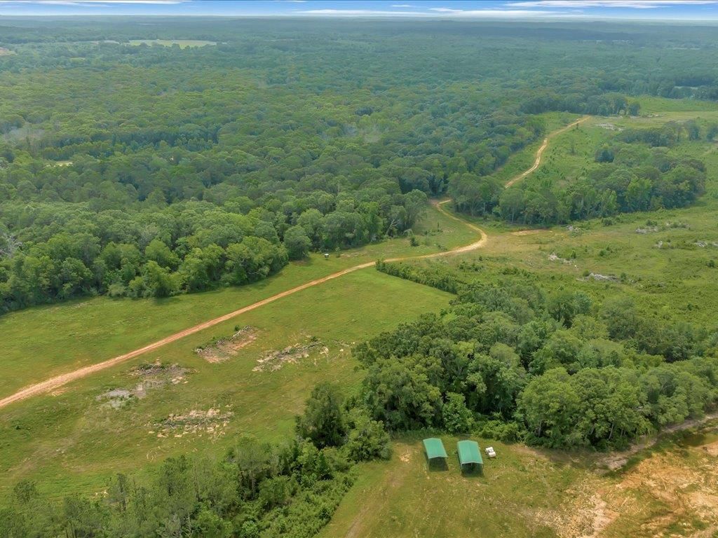 124 acres in Nacogdoches County, Texas