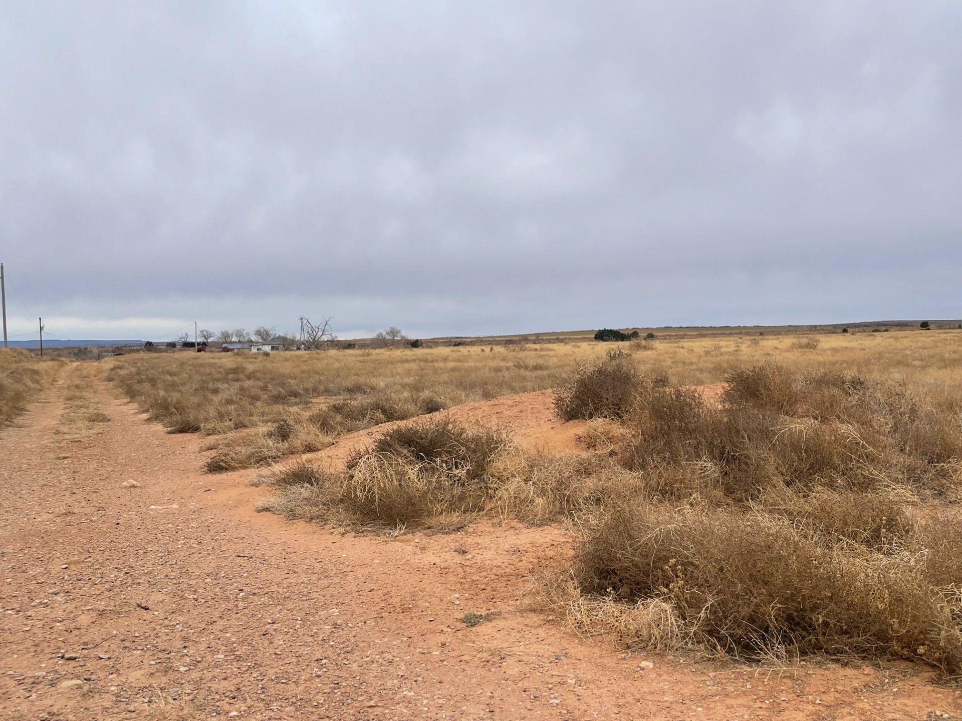 440 acres in Quay County, New Mexico