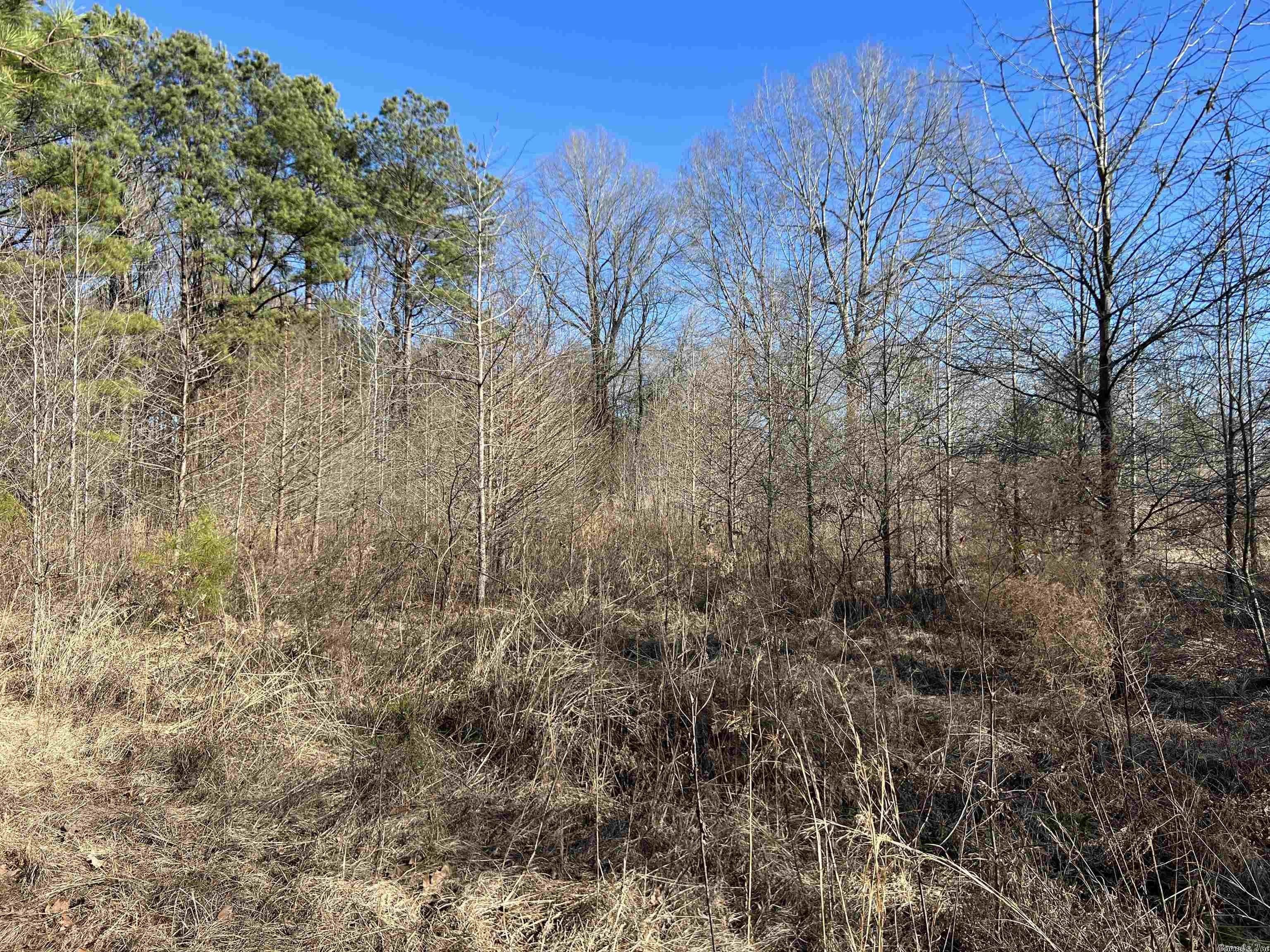 116 acres in Cleveland County, Arkansas