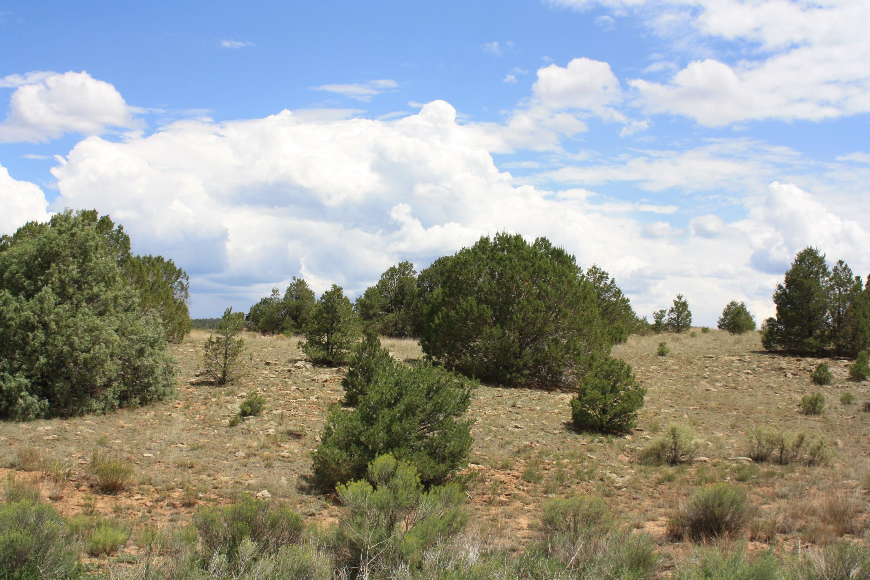 5 acres in Cibola County, New Mexico