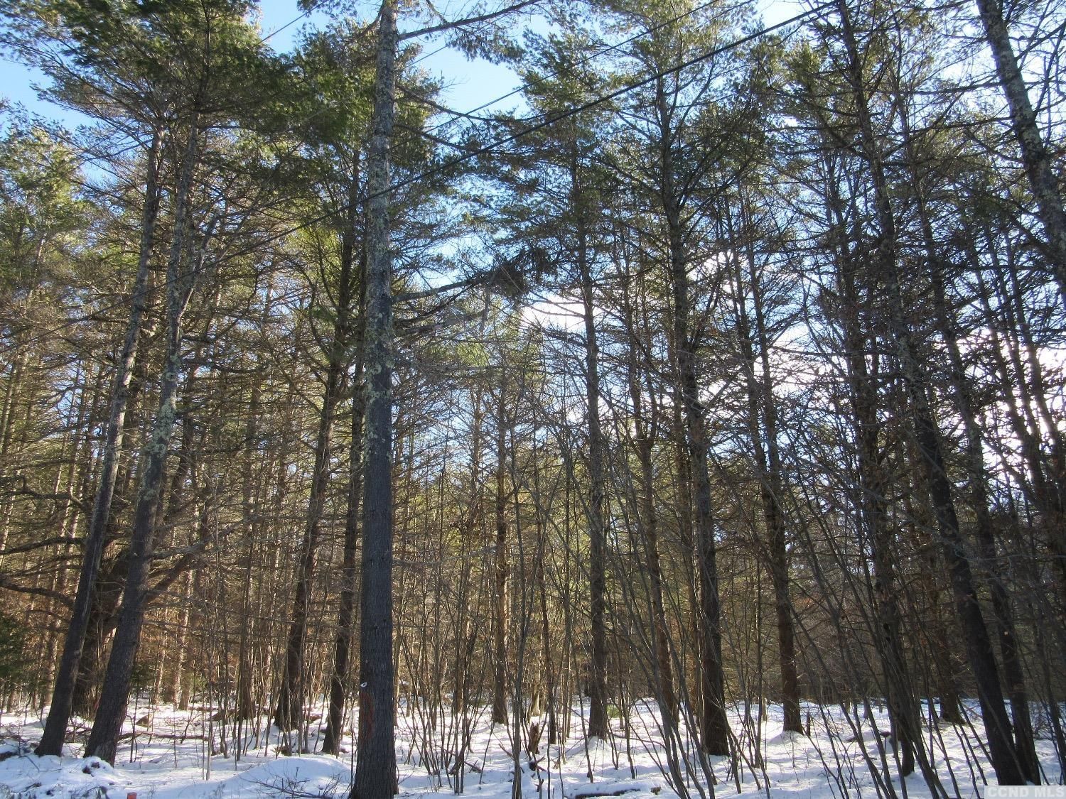 3.2 acres in Greene County, New York