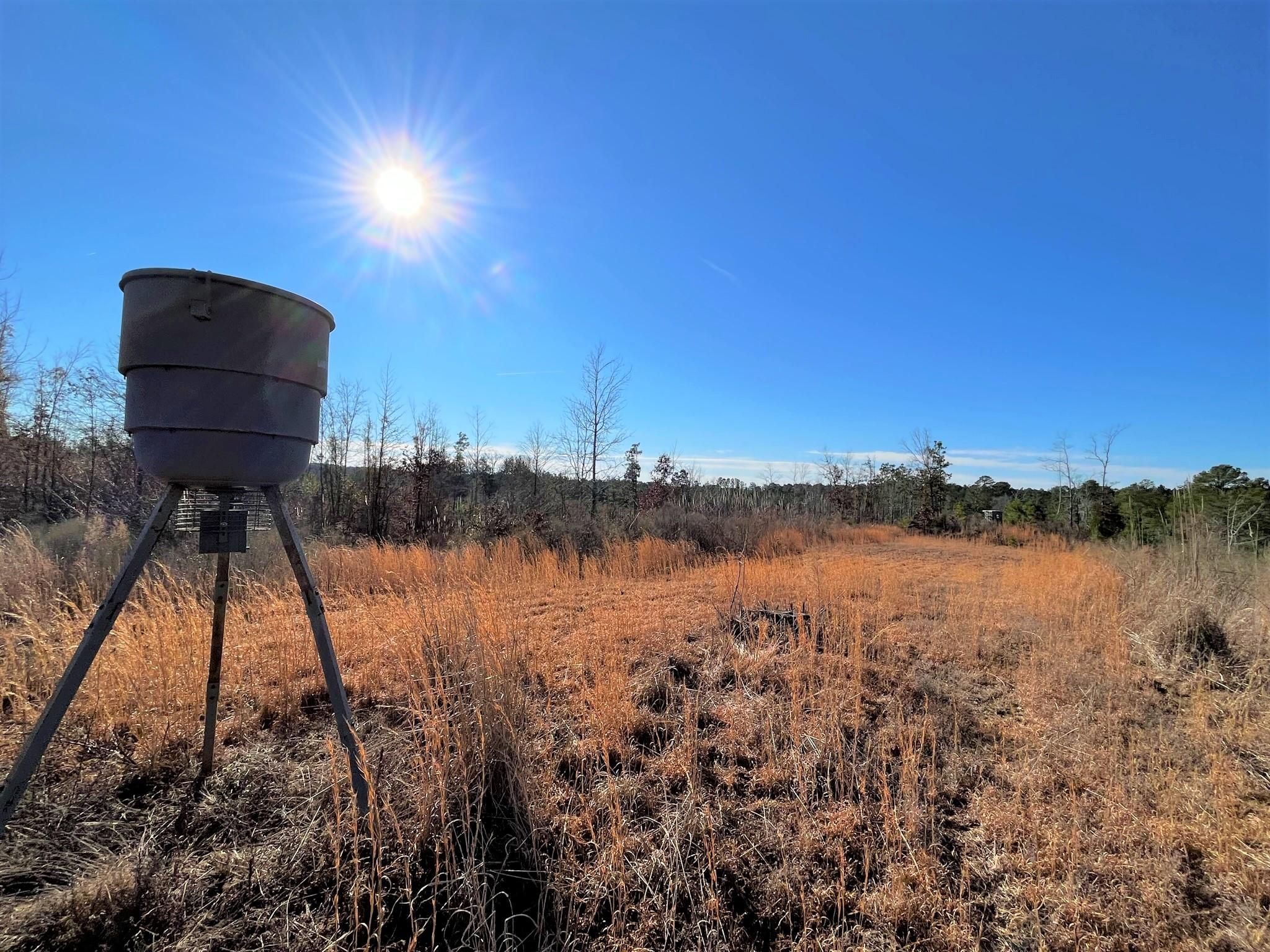 43 acres in Attala County, Mississippi
