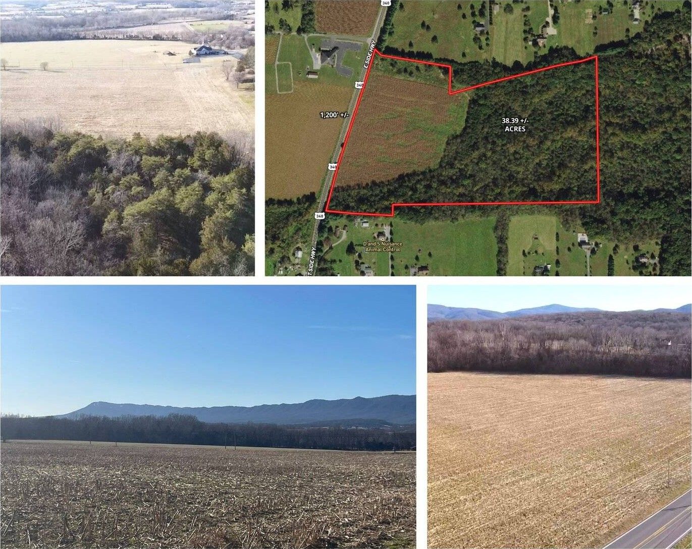38.4 acres in Rockingham County, Virginia