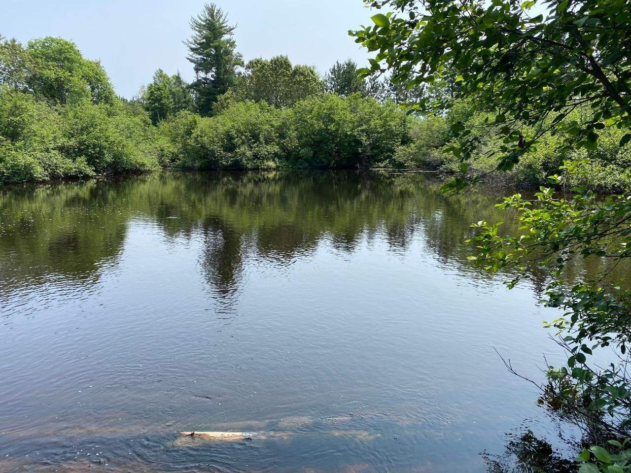 13 acres in Forest County, Wisconsin