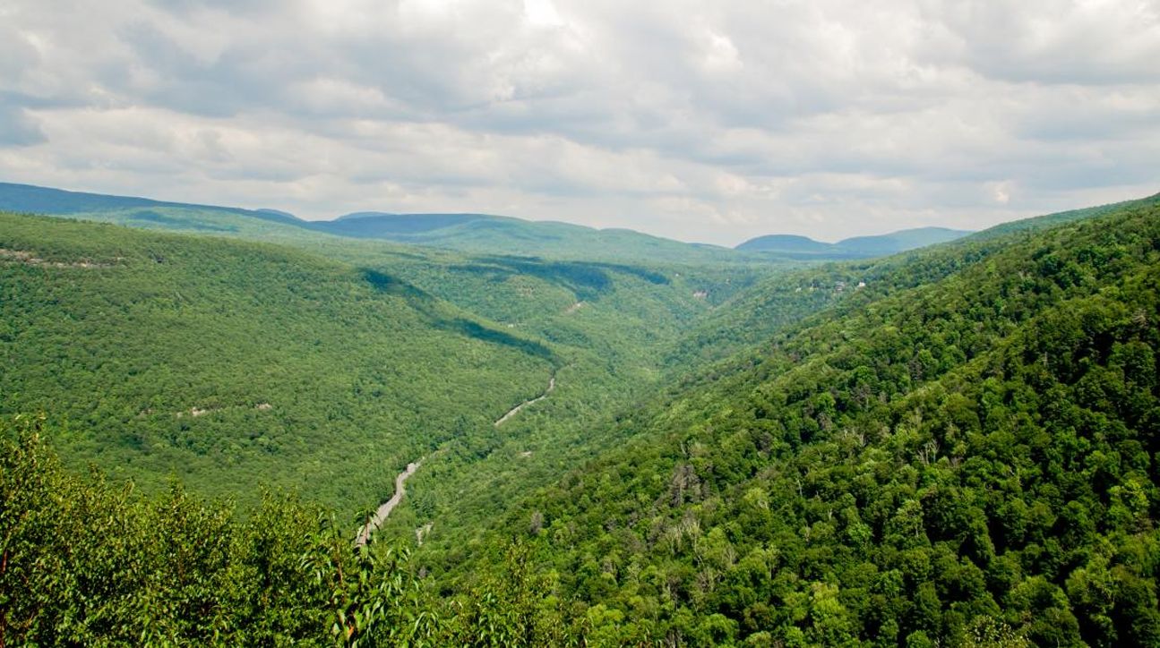 36.5 acres in Ulster County, New York