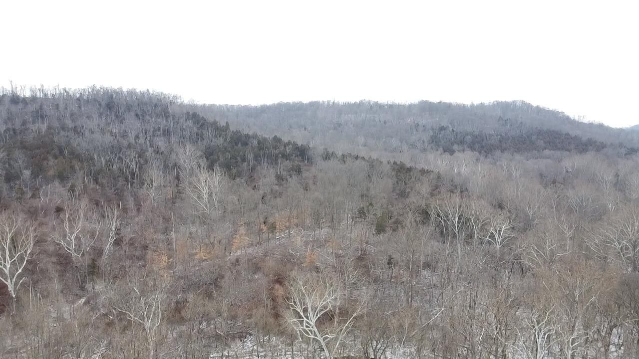 52 acres in Switzerland County, Indiana