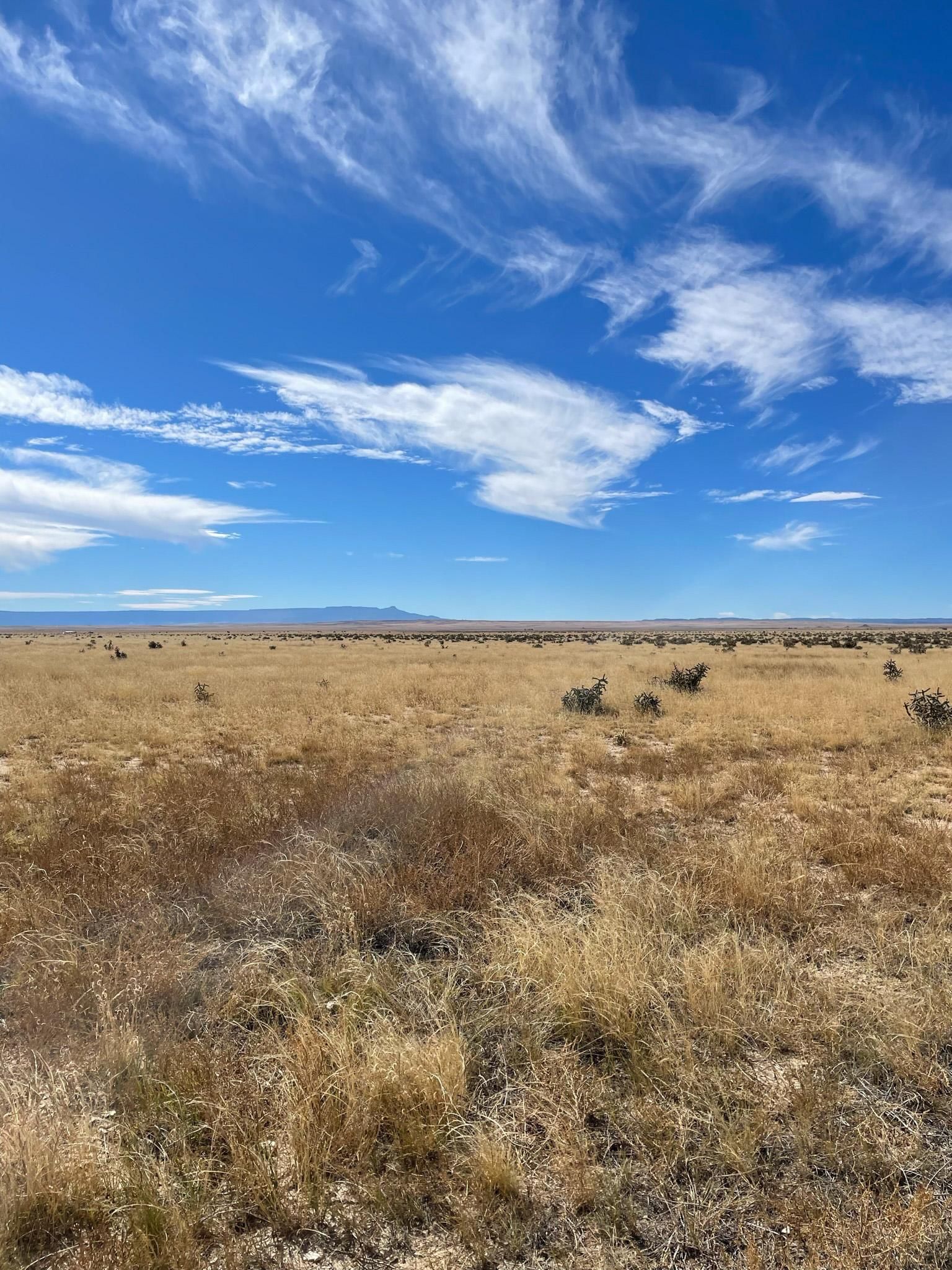 35.38 acres in Las Animas County, Colorado