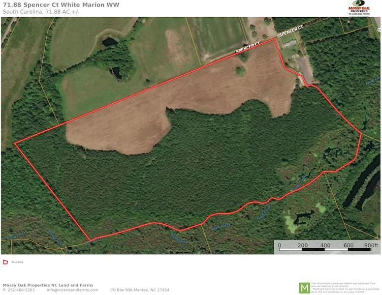 71.88 acres in Marion County, South Carolina