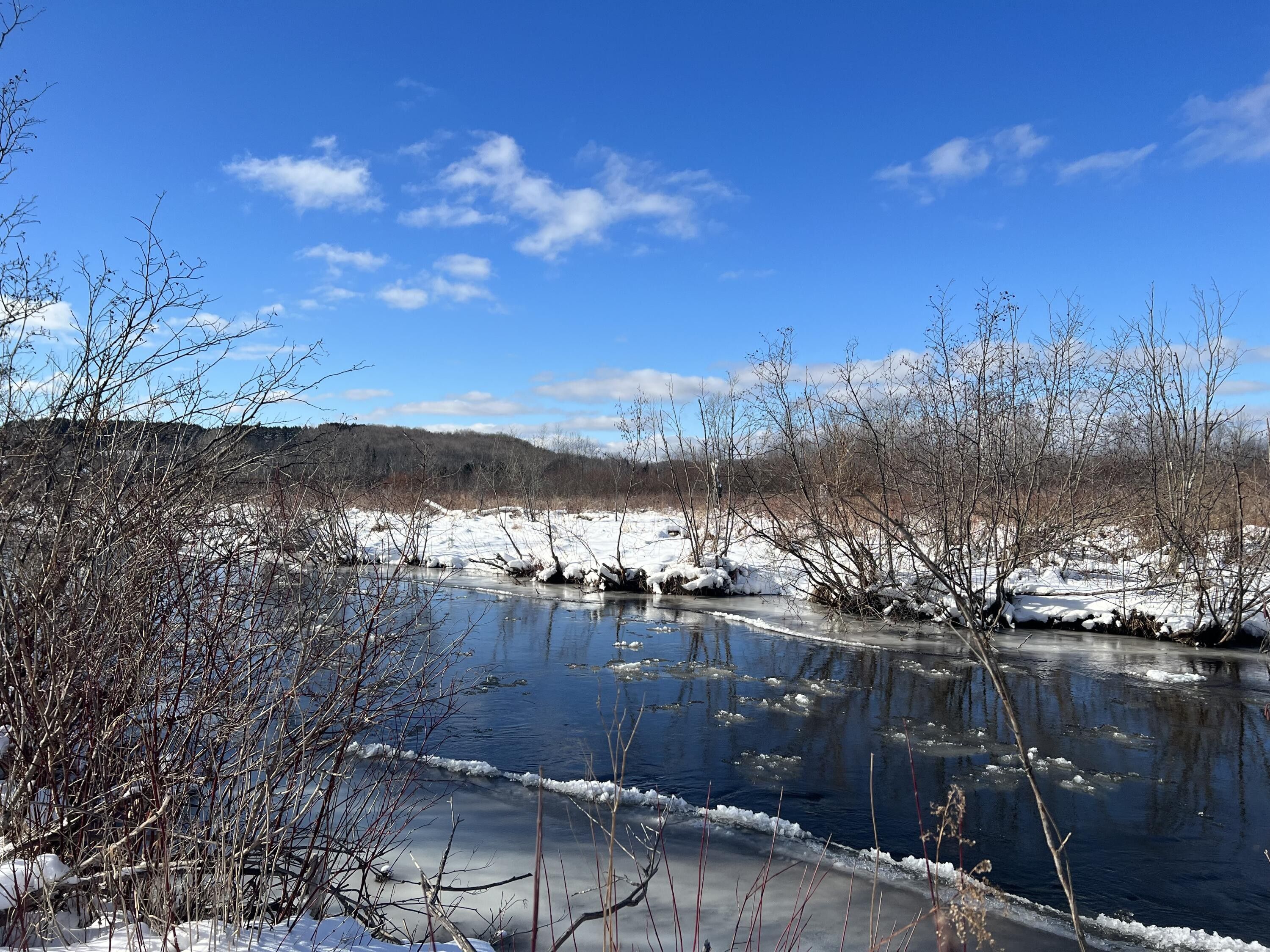 26 acres in Cheboygan County, Michigan