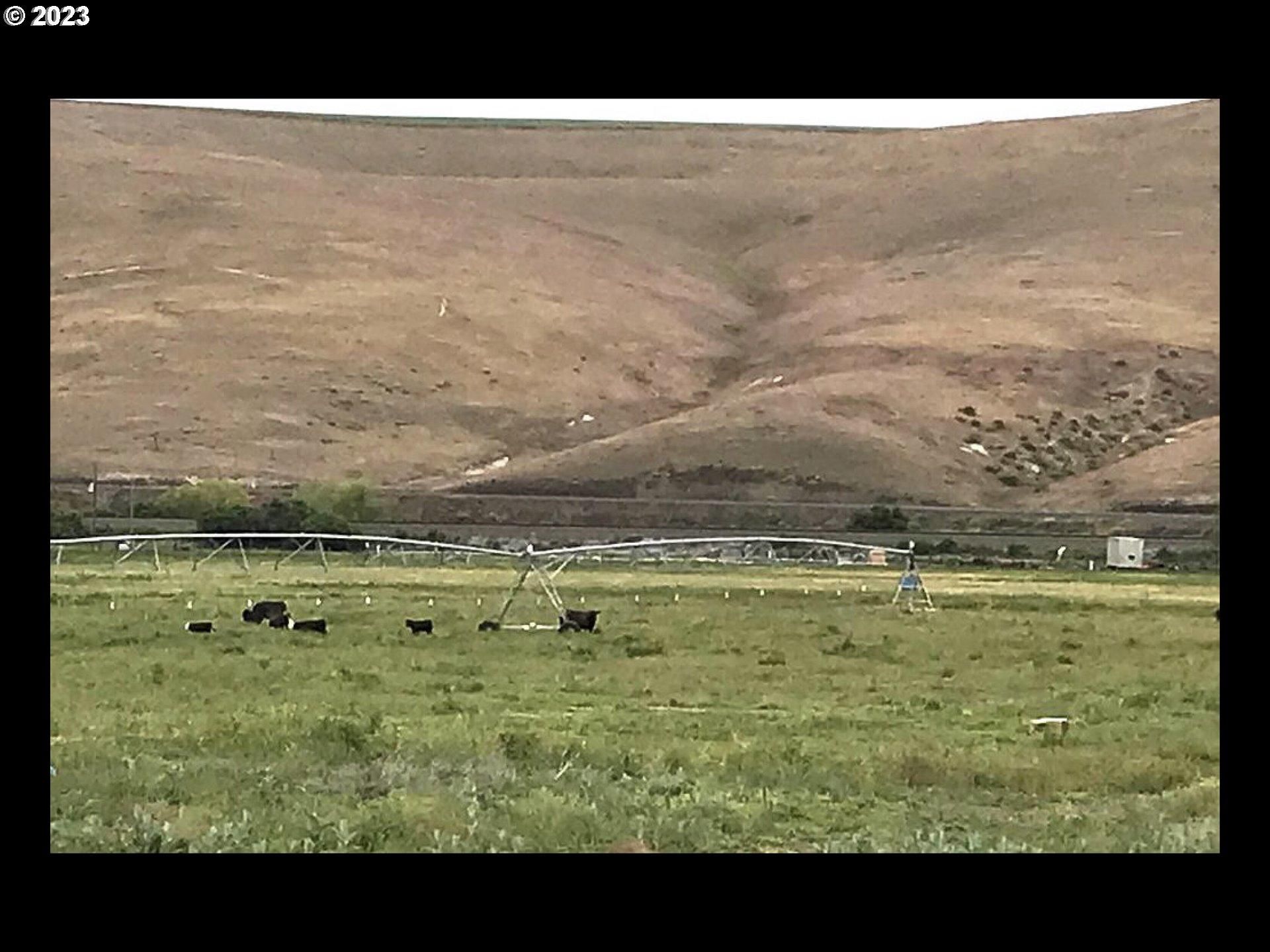 69.39 acres in Umatilla County, Oregon