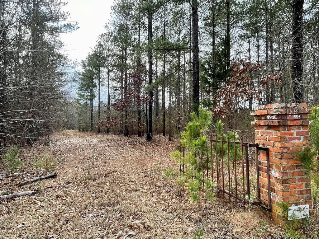 20 acres in Schley County,