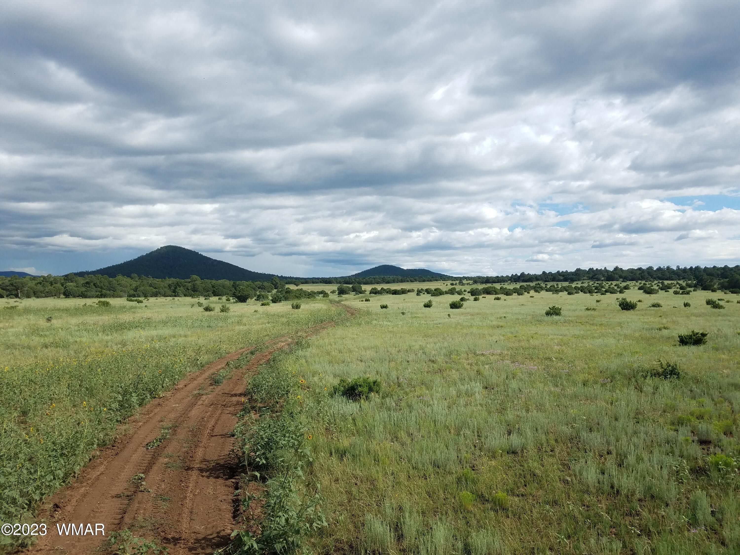 160 acres in Apache County, Arizona
