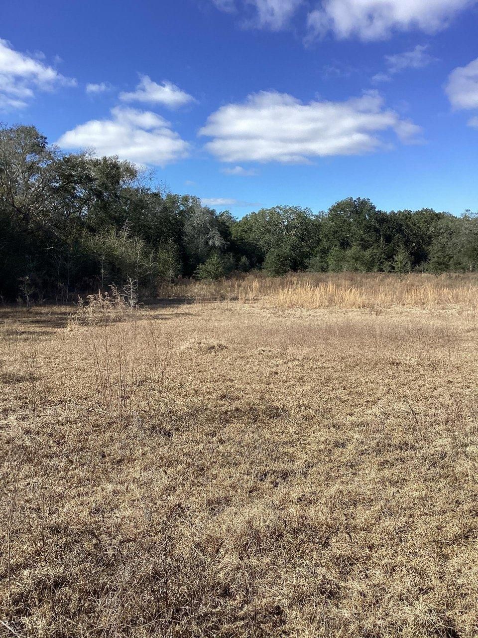 10 acres in Madison County, Florida