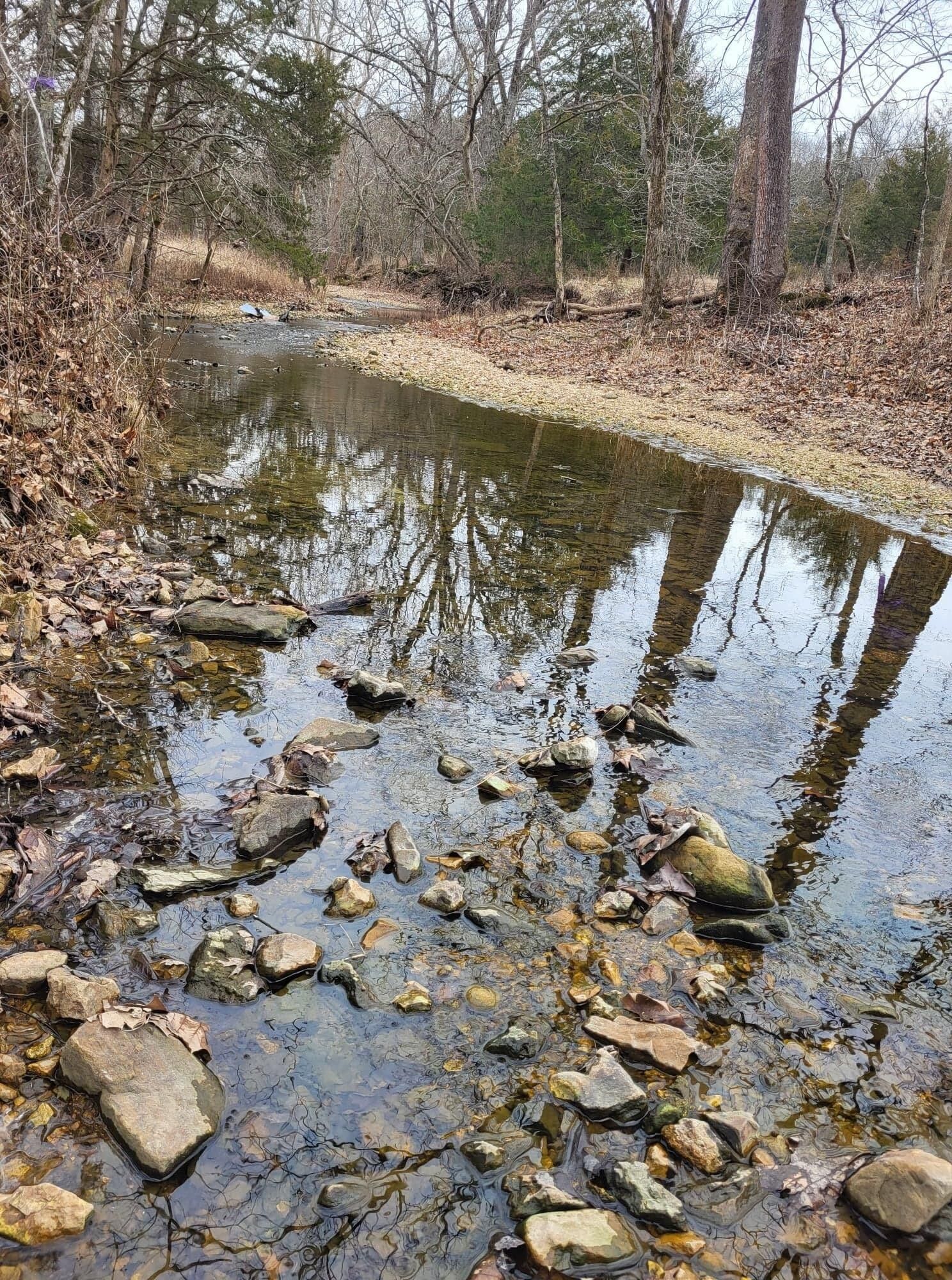 40.4 acres in Polk County, Missouri