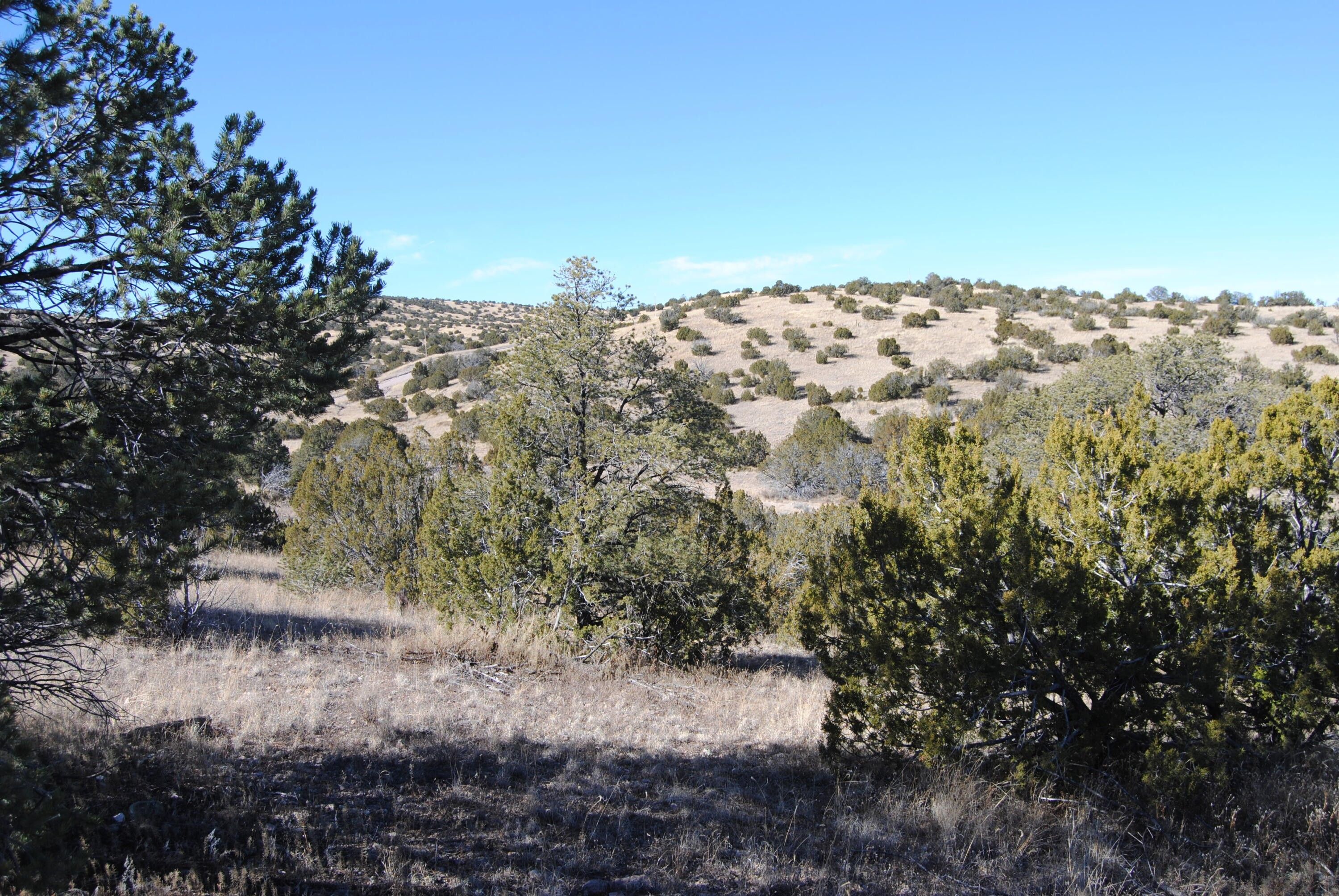 40.03 acres in Socorro County, New Mexico