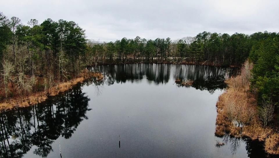 39 acres in Laurens County,