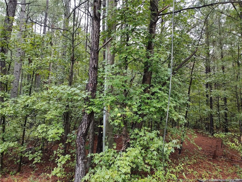 5.67 acres in Cumberland County, North Carolina