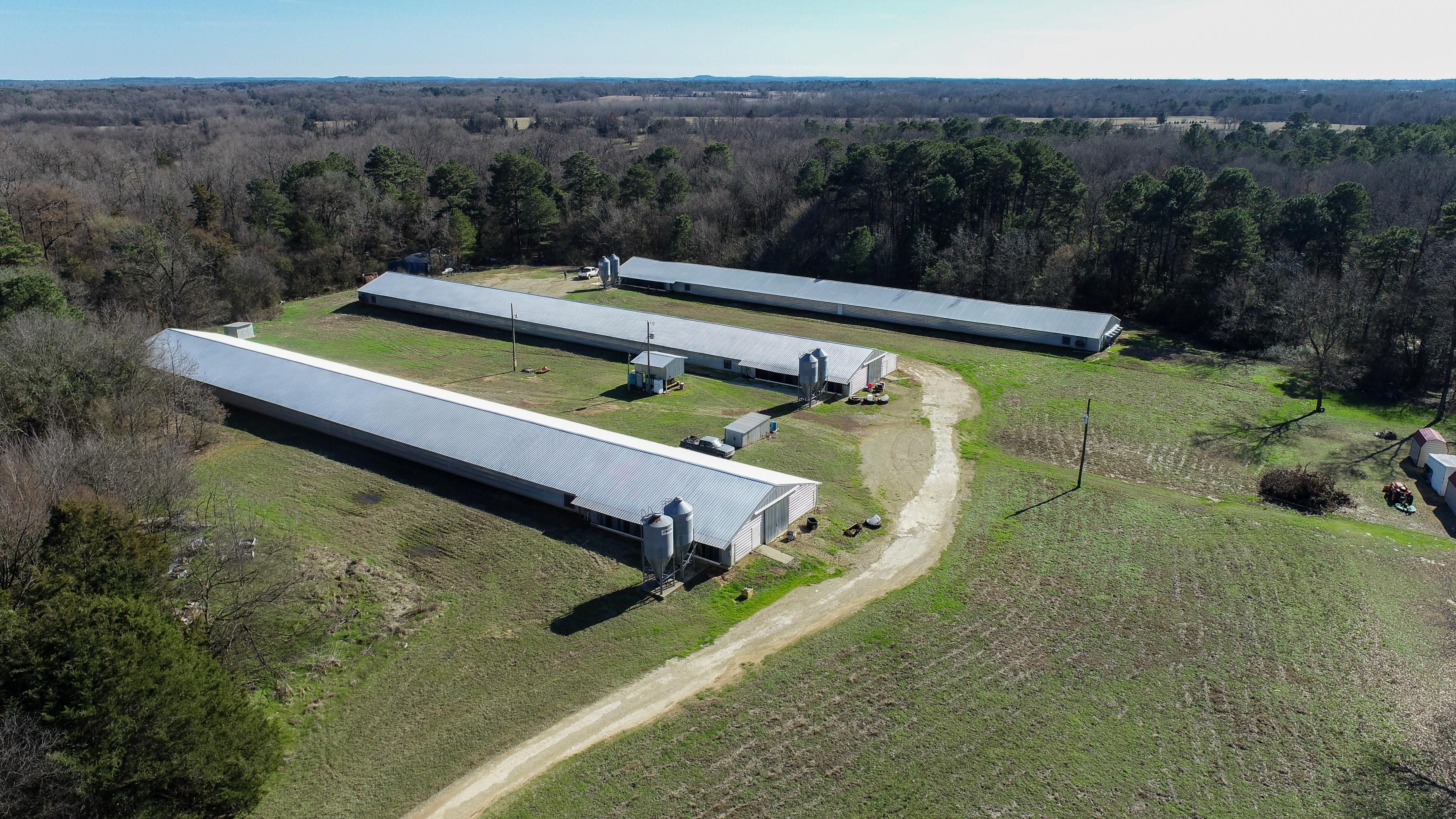 9 acres in Camp County, Texas