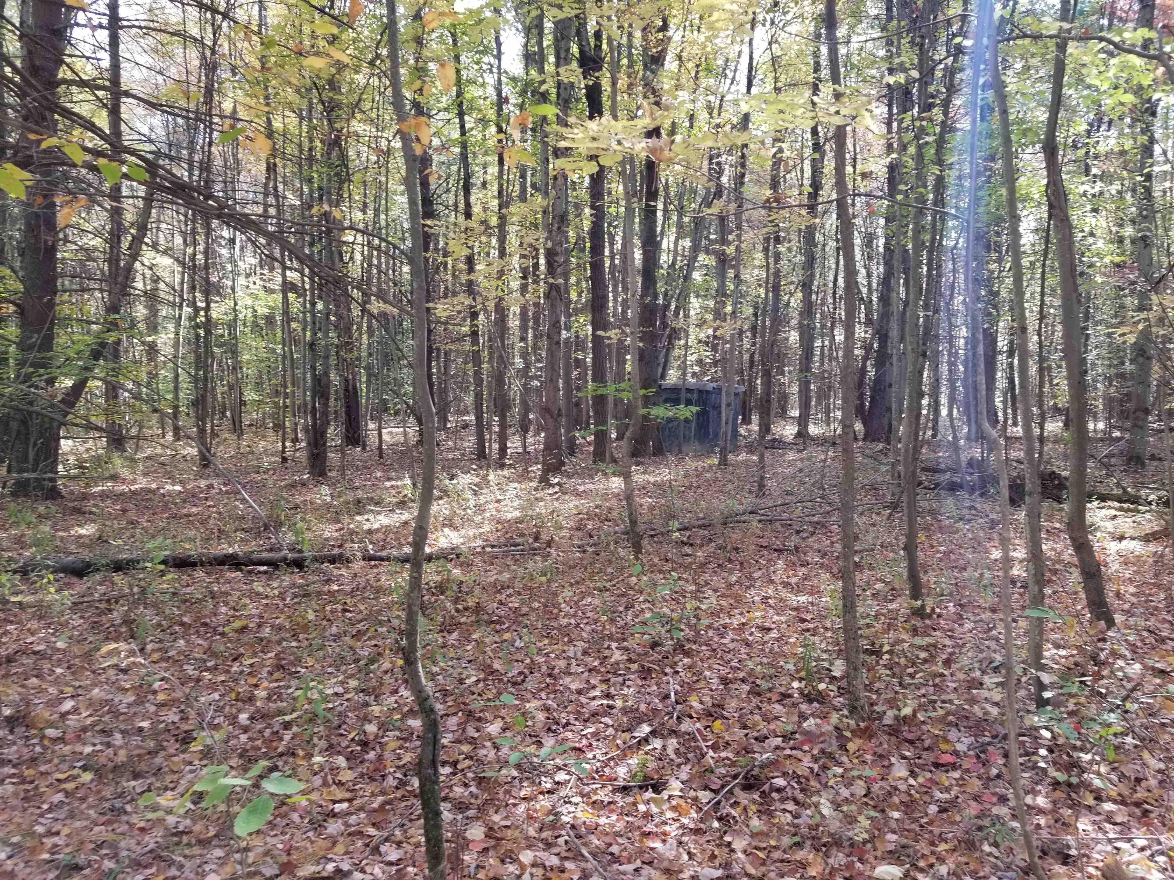 67 acres in Tompkins County, New York