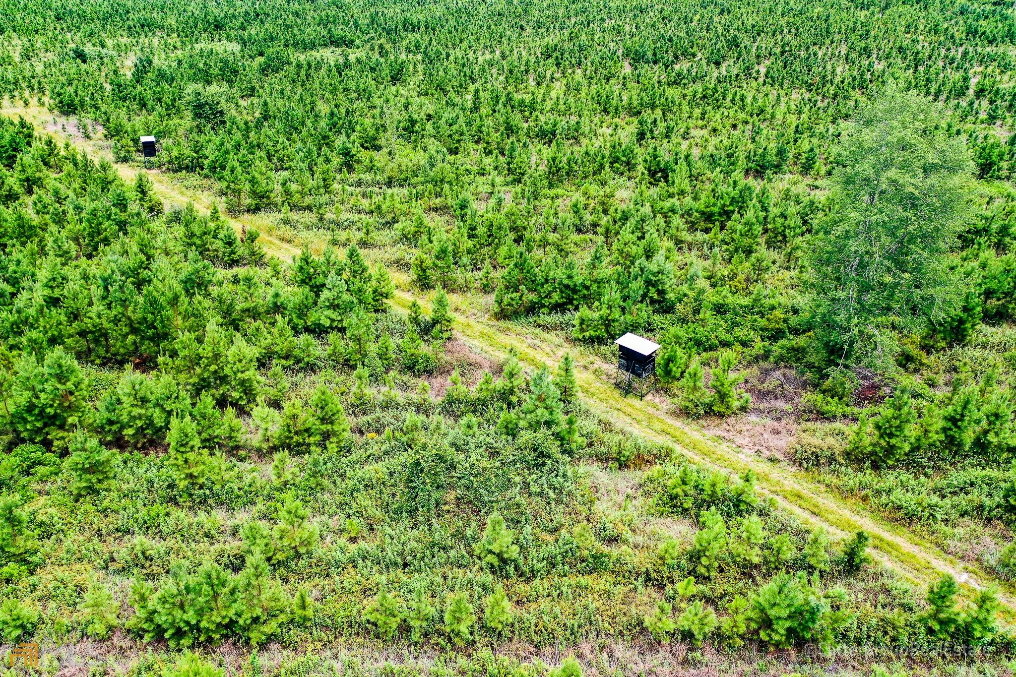 58 acres in Ware County,