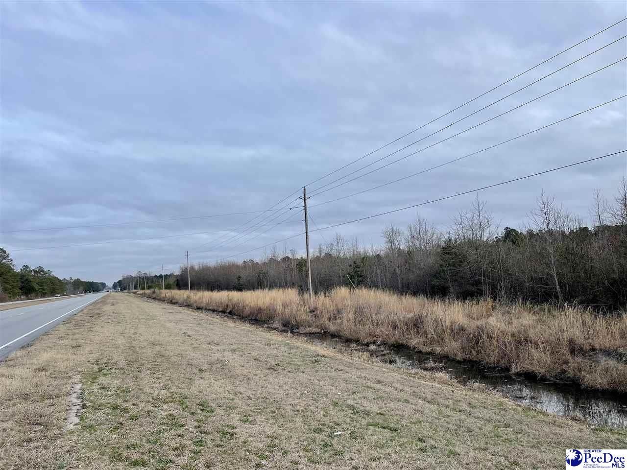 28 acres in Marlboro County, South Carolina