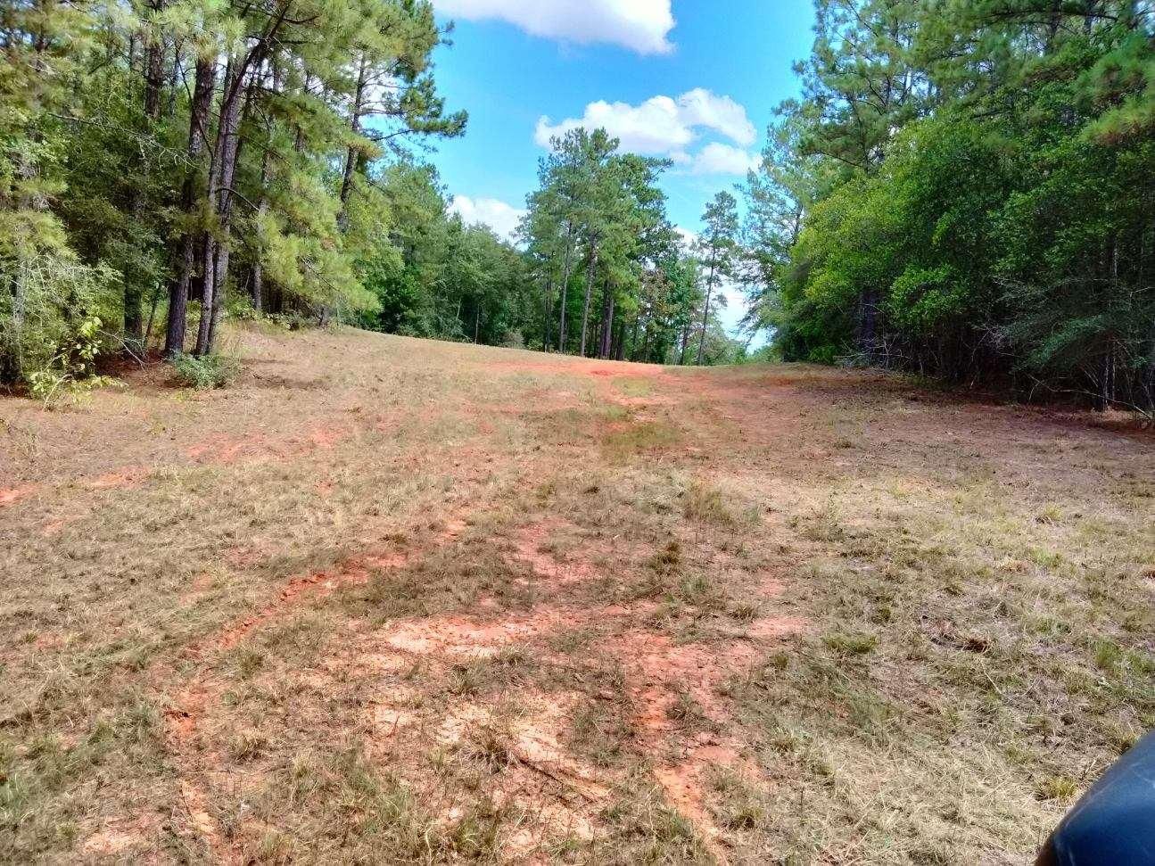 20 acres in Polk County, Texas